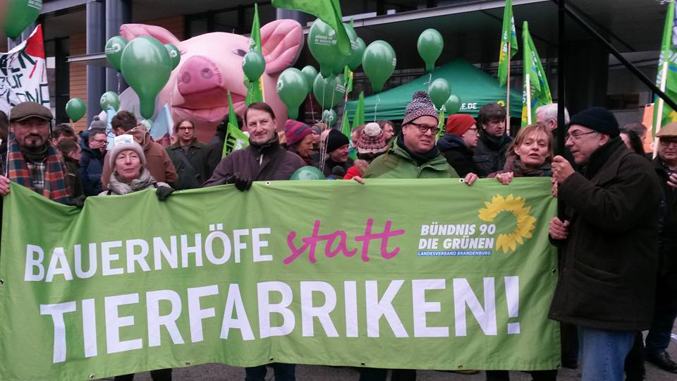 Bündnisgrüne Menschen halten ein Transparent hoch mit der Aufschrift "Bauernhöfe statt Tierfabriken". Das Foto ist auf der Demonstration "Wir haben es satt!" am 21. Januar 2017 in Berlin aufgenommen. Mit dabei sind die Landesvorsitzenden Petra Budke und Clemens Rostock, Thomas Dyhr aus Barnim und Axel Vogel, der Fraktionsvorsitzende von BÜNDNIS 90/DIE GRÜNEN.