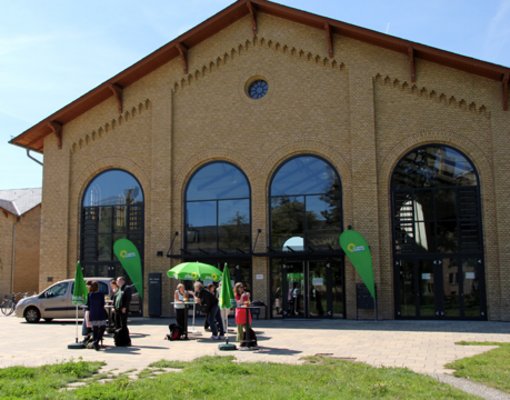 Grüne Sommerkonferenz, Bildung, Brandenburg, Schulsystem, Lehrermangel, Schullandschaft