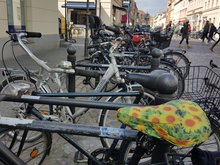 Ein Fahrrad mit Sattelschoner, darauf Sonnenblumen. Dahinter viele Fahrräder, fotografiert am Anfang der Fußgängerzone Brandenburger Straße in Potsdams Innenstadt. Hier stehen täglich viele Fahrräder.