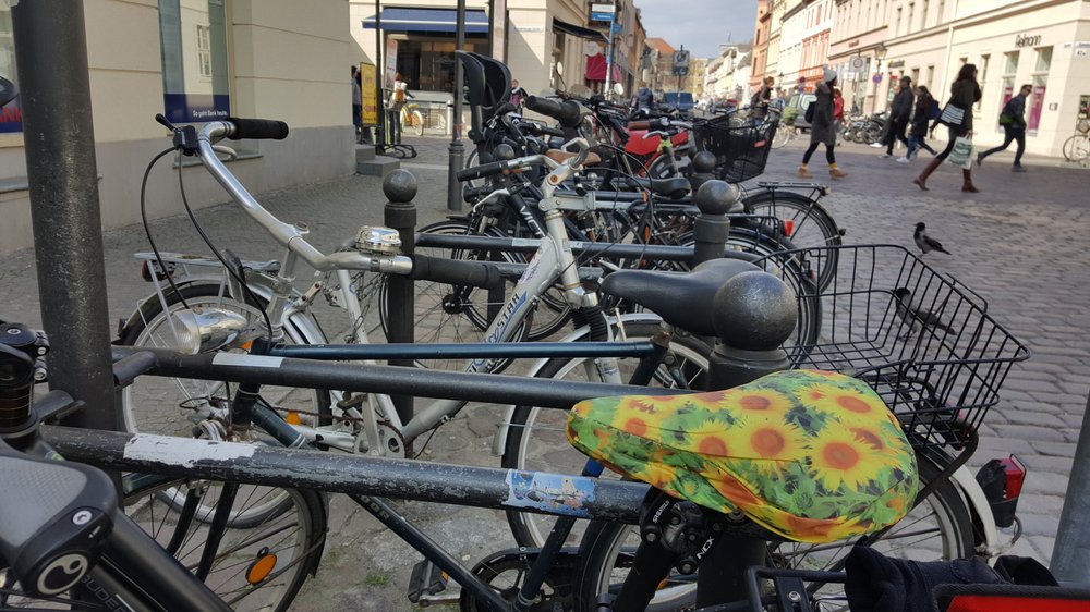 Fahrrad Ein Fahrrad mit Sattelschoner, darauf Sonnenblumen. Dahinter viele Fahrräder, fotografiert am Anfang der Fußgängerzone Brandenburger Straße in Potsdams Innenstadt. Hier stehen täglich viele Fahrräder.